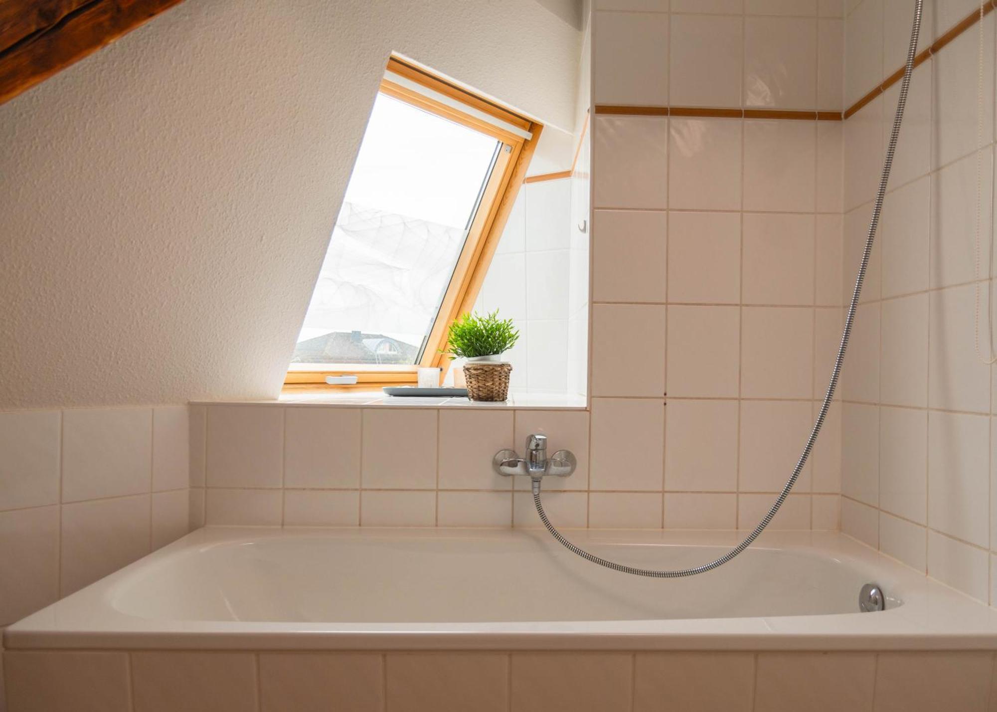 Apartmenthaus Rankestrasse 4 德累斯顿 外观 照片