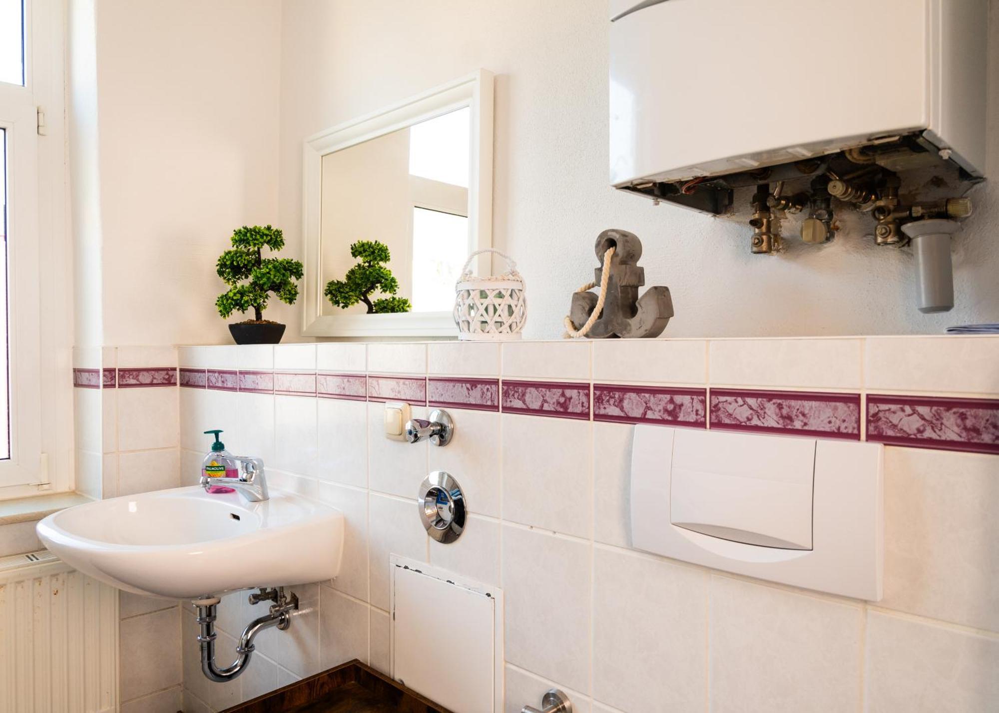 Apartmenthaus Rankestrasse 4 德累斯顿 外观 照片