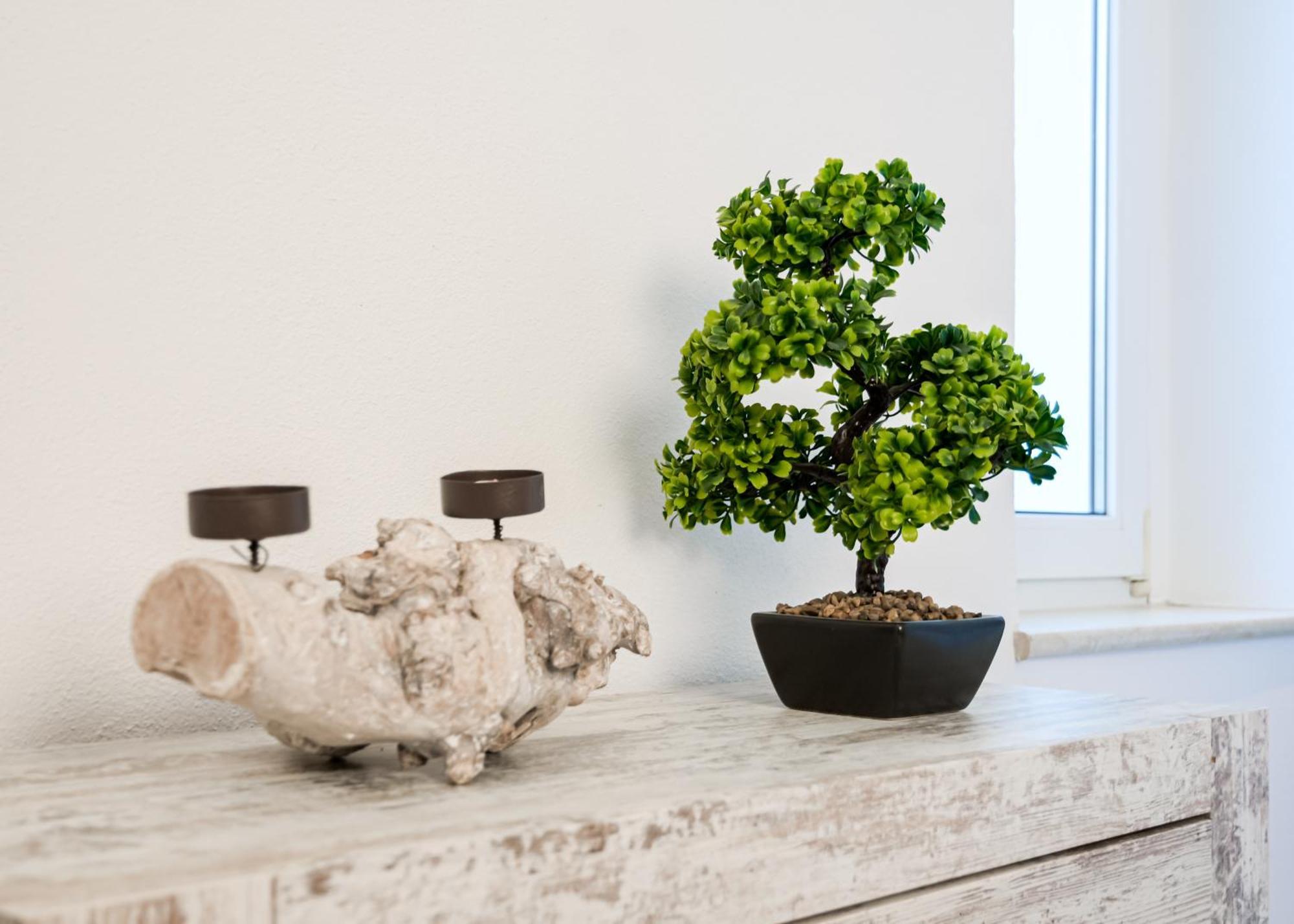 Apartmenthaus Rankestrasse 4 德累斯顿 外观 照片